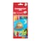 Staedtler Luna Colouring Pencils 12 PCS