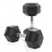 Harley Fitness 20.00KG Rubber Coated Fixed Hex Dumbbell 1 Pair