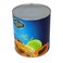 Premium Choice Tropical Fruit Cocktail In Heavy Syrup 3050g