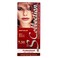 S Collection Hair Color Golden No 7.31 60ML