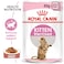 Feline Health Nutrition Kitten Sterilised Gravy 12x85g