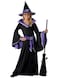 California Costumes Incantasia The Glamour Witch G Child Costume Blk/Purple