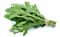 Rucola - 100 gram