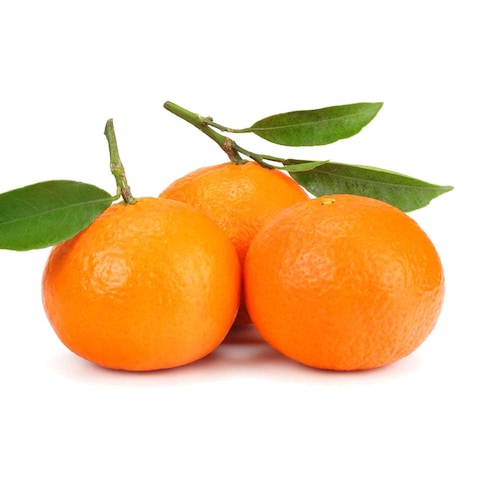 Buy Mandarin Nadorcott in Saudi Arabia