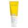 Acure Brightening Facial Scrub 118ml