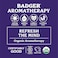 Badger Company, Organic, Headache Soother, Peppermint &amp; Lavender.60 OZ (17 G)