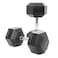 Harley Fitness 27.50KG Rubber Coated Fixed Hex Dumbbell 1 Pair