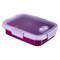 Curver To Go Sandwich Container - 0.7 Liter - Purple