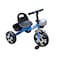 Baby Tricycle Assorted