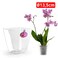 Plastic Forte Orchid Pot Holder