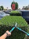 ABBASALI Pressure Sprayer Gardening Watering Tools &amp; Garden Scissor Heavy Duty (5 liter)