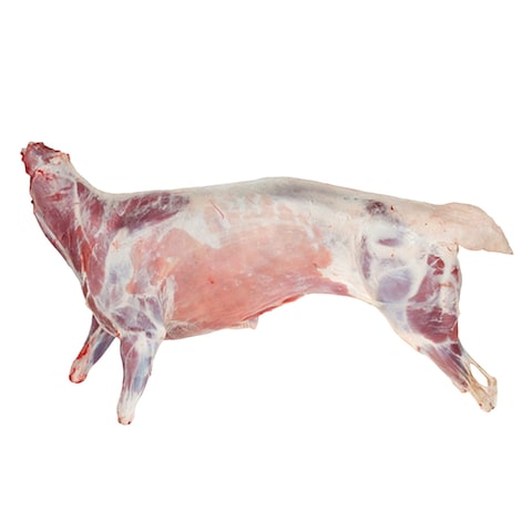 Fresh Goat Carcass