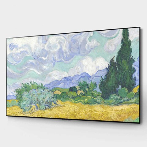 LG 65-inch 4K Super UHD OLED Smart TV - 65G1PVA.FU