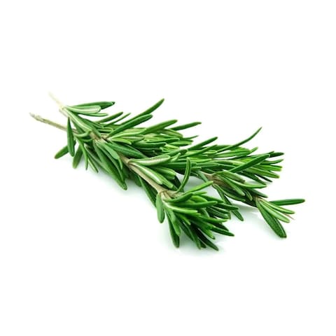 Rosemary - 100 gram