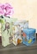 eVincE Assorted Designs Gift Wrapping Paper With Facts 3 Animal Prints 6 Wraps