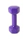 Top Quality Set Of Dumbbells 2x4 Kg 4kg