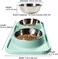 Cat Food Bowls, Cat Bowls Non-Skid and Non-Spill Silicone Mats with Stand, Removable Stainless Steel Food and Water Dishes for Cats, Small Size Dogs