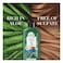 Herbal Essences Hair Strengthening Sulfate Free Potent Aloe Vera + Bamboo Natural Conditioner 400ml