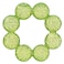 INFANTINO WATER TEETHER (GREEN)
