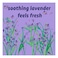 Originally Yellow All Purpose Vinegar Cleaner  Concentrate Organic Lavender 1.89L Pack of 2