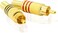 DKURVE&reg; RCA Audio Plug, AV Stereo Gold Plated Male Plug TV-out Cable AV Pin RCA Pin Male Audio Video RCA Pin Male Connector for Stereo Cable Audio Video Jack Adapter for Speaker Connector Pin