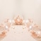 Generic Confetti Foil Balloon 30Pcs/Set Party Supplies Banner Paper Garland For Happy Birthday Party Decoration Kids Baby Party Supplies Air Wedding Decoration Metallic Balloons