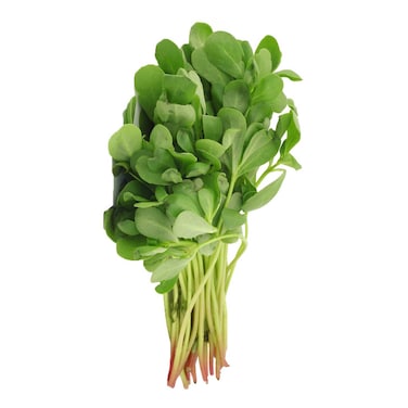 Fresh Reijlah - Local