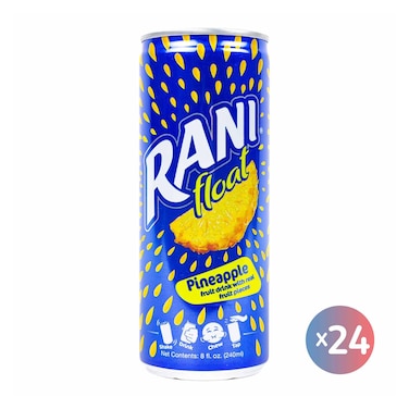 راني حبيبات مشروب اناناس بقطع الفاكهة - 250 مل - 24 عبوة