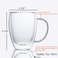 Lushh Double Walled Insulated Glass Coffee Tea Cup Set with Handle, Perfect for Espresso, Latte, Cappuccino, Tea, Smoothies, Juice and Water, Set of 2 - 350 ML (12OZ)