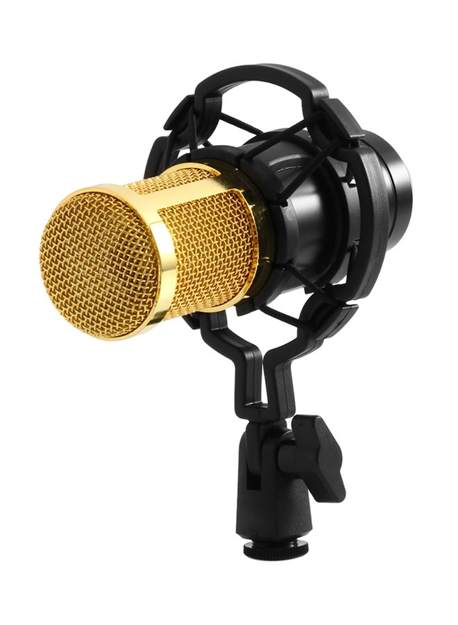 بي إم Bm Condenser Sound Recording Microphone With Shock Mount bm-800