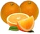 Orange Navel South Africa