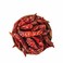 Chili Whole Long
