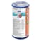 Bestway Pool Filter Cartridge III 58012 White