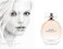 Calvin Klein Sheer Beauty For Women Eau De Toilette 100ml