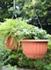 6Pc Hanging Flower Pot With Draining Hole Plastic Planter for Indoor and Outdoor Plants Terracotta 15X12cm
