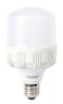 Terminator E27 LED Bulb - 20W White