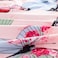 Luna Home Single size 4 pieces, without filler, butterfly design.