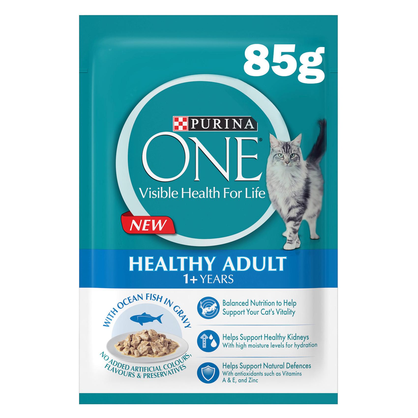 Indoor Advantage Walmart Purina Dry Cat Food Walmart Purina Cat