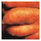Red Sweet Potato