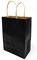 Beautiful Black Colour Paper Gift Bag (Multi-purpose Use) (25x12x33.5cm) (Pack of 1 Single Unit).