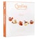 Guylian Opus Luxury Assortment Belgian Chocolates Gift Box 180G