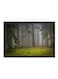 Spoil Your Wall Forest Scenery Poster With Frame Grey/Green 55x40cm