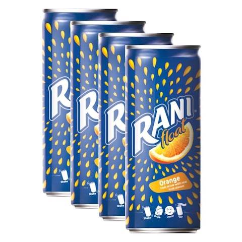 Rani Orange Float - 240ml