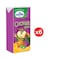 Candia Juice Cocktail 125ML X6