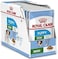 Royal Canin Size Health Nutrition Mini Puppy (WET FOOD - Pouches)