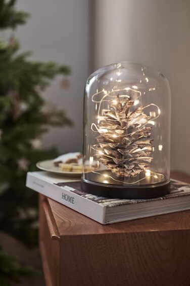 Buy Tchibo LED Micro Light Chain, Transparent/Silver Online | Carrefour UAE