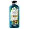 Herbal Essences Bio:Renew Repair Argan Oil of Morocco Conditioner - 400 ml