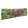 Heartbeat Sour Punk Apple Candy Stick 50g
