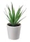 Generic Fejka Artificial Potted Plant With Pot Green/White