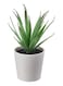 Generic Fejka Artificial Potted Plant With Pot Green/White
